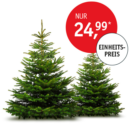 Weihnachtsbaum-2023.jpg