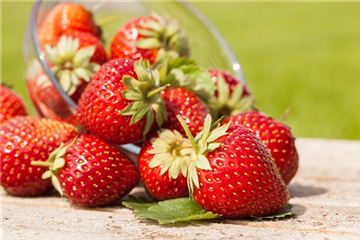 GESUND NASCHEN AUF DEM BALKON!