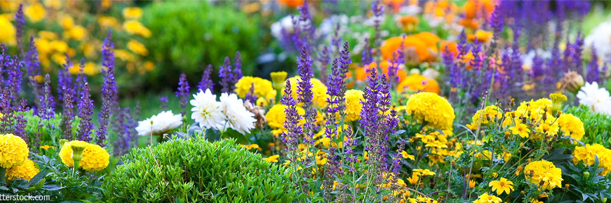 Header_Gartenwelt_1930x500