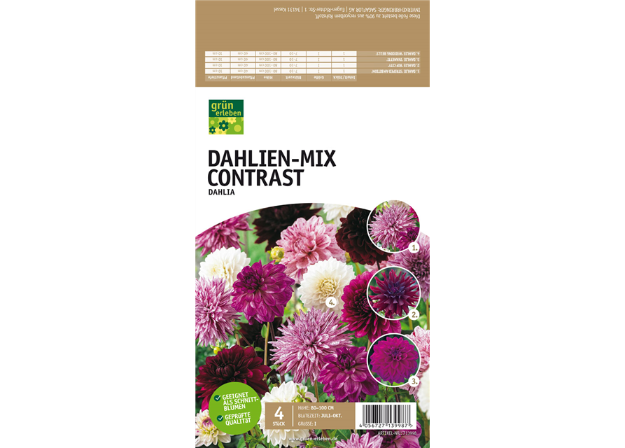 Dahlien-Mix Contrast