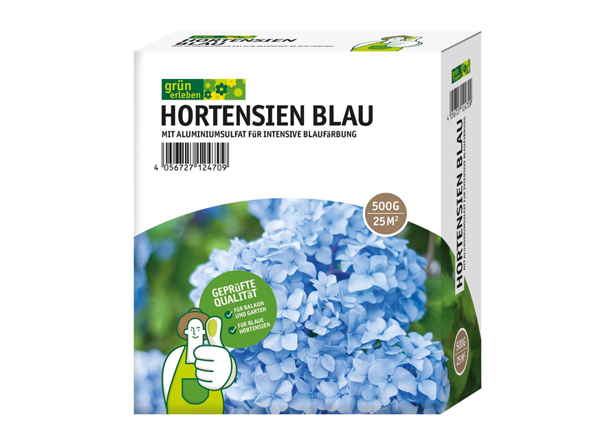 Hortensien Blau