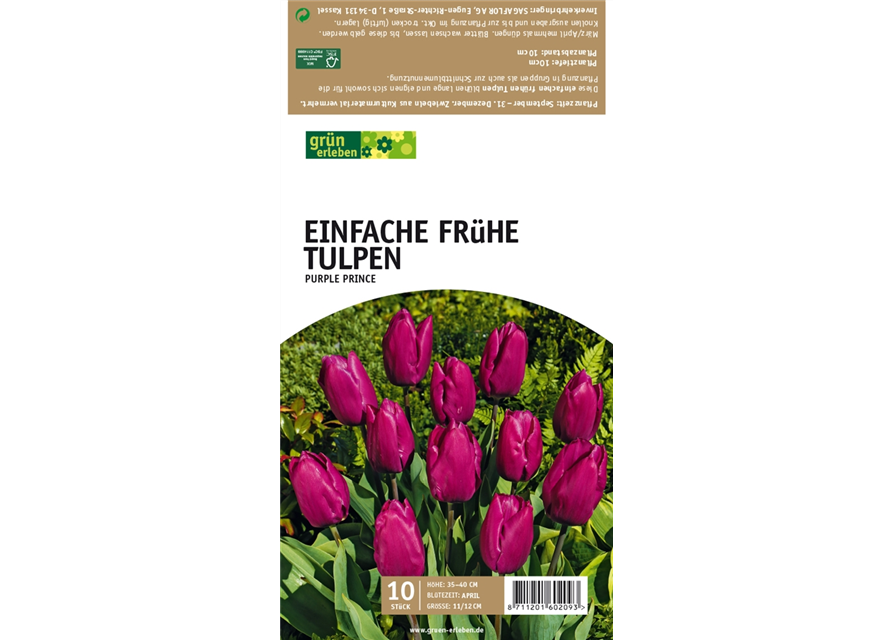 Einfache frühe Tulpen