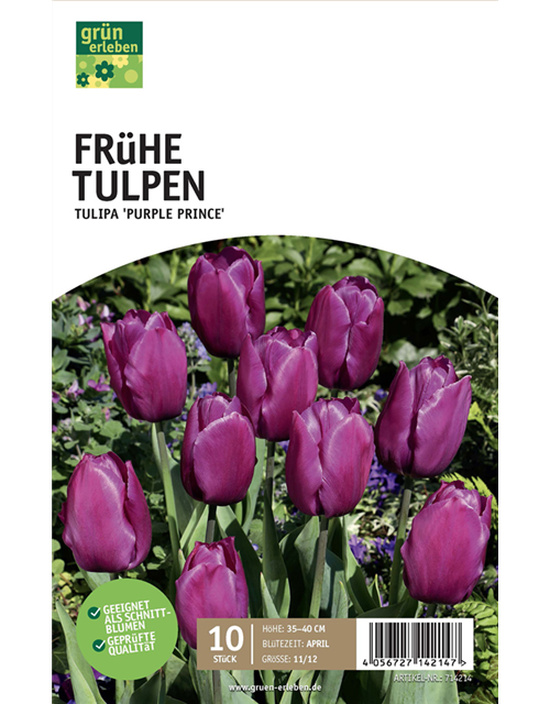 Einfache frühe Tulpen