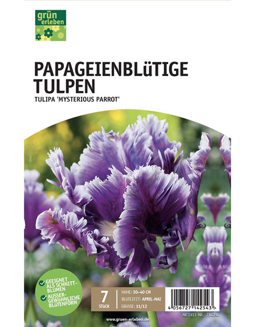 Papageien-Tulpen