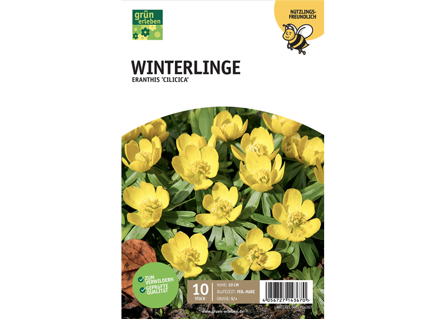 Winterlinge